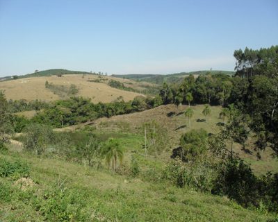 Sítio - Foto 5