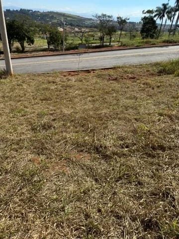 Terreno, 250 m² - Foto 2