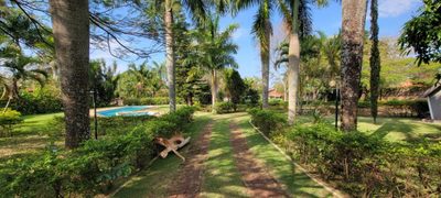 Chácara, 3 quartos, 5000 m² - Foto 4