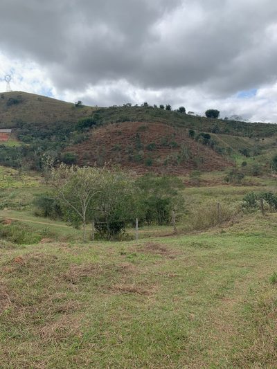 Terreno, 3 hectares - Foto 2