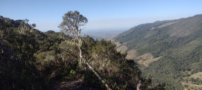 Fazenda, 422 hectares - Foto 3