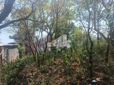 Terreno, 9959 m² - Foto 2
