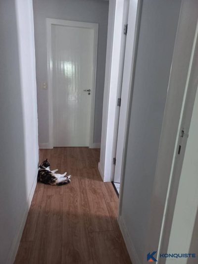 Casa, 4 quartos, 175 m² - Foto 3