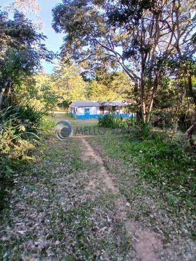 Fazenda, 3 quartos - Foto 4
