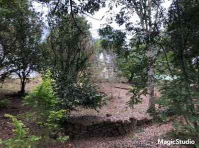 Terreno, 1340 m² - Foto 4