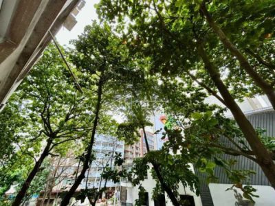 Apartamento, 1 quarto, 42 m² - Foto 5