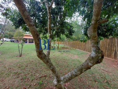 Casa, 2 quartos, 2380 m² - Foto 4