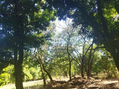 Sítio, 2 quartos, 14 hectares - Foto 4