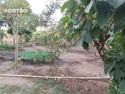 Casa, 3 quartos, 110 m² - Foto 3