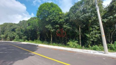 Terreno, 1253 m² - Foto 1