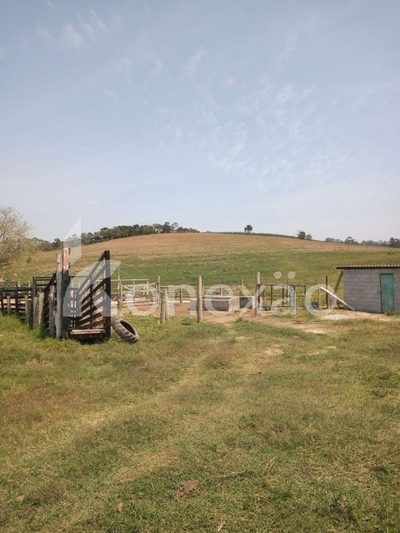 Sítio, 2 quartos, 200 m² - Foto 2