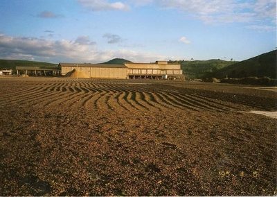 Fazenda - Foto 1