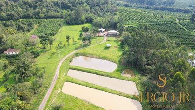 Chácara, 3 quartos, 5 hectares - Foto 1