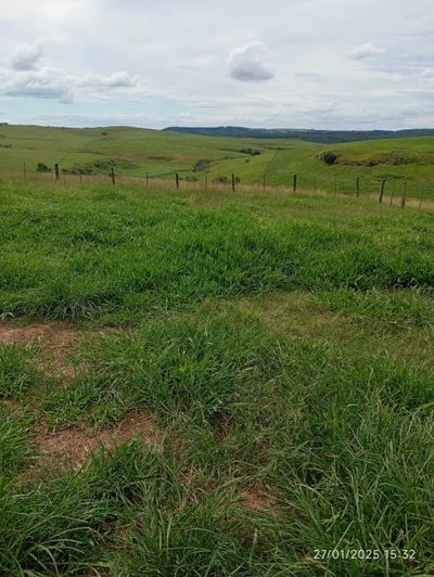 Fazenda, 300 m² - Foto 5