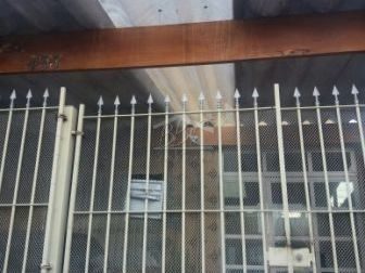 Sobrado, 2 quartos, 130 m² - Foto 1