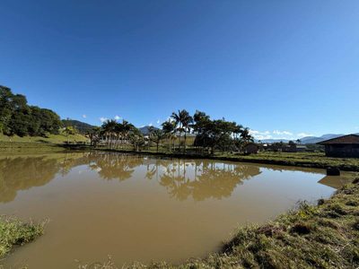Terreno, 8 hectares - Foto 3