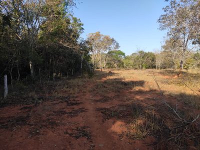 Terreno, 110000 m² - Foto 3