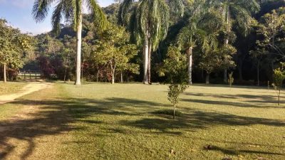 Fazenda, 385 hectares - Foto 2