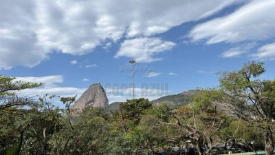 Apartamento, 4 quartos, 525 m² - Foto 3