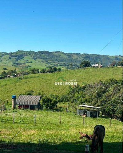 Fazenda, 230 hectares - Foto 3