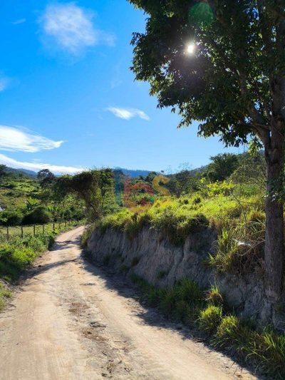 Sítio, 141 hectares - Foto 4